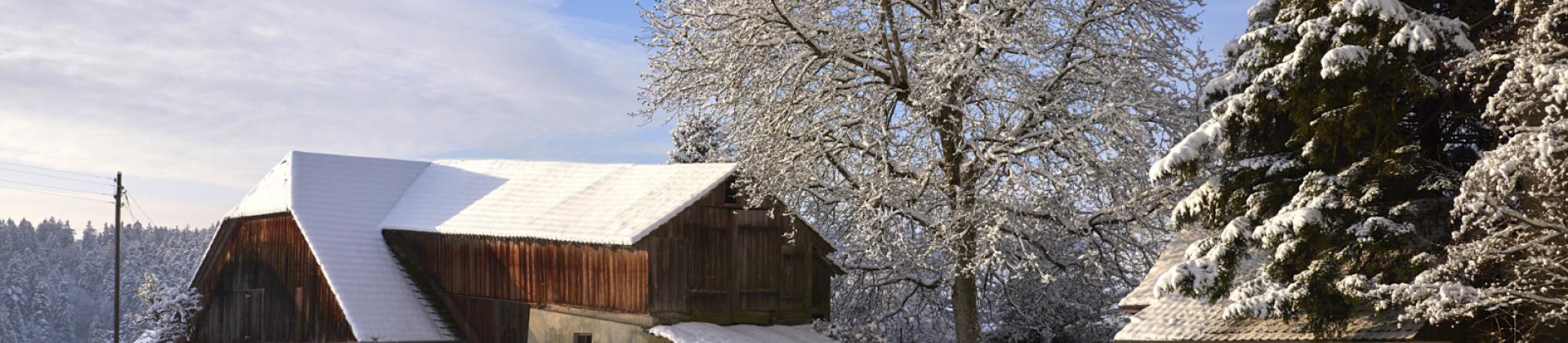 Haus im Schnee Holen