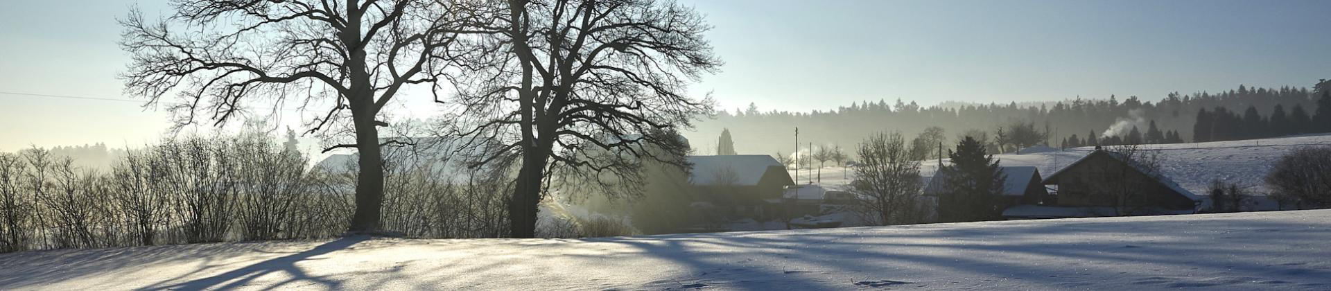 Winterbild Holen