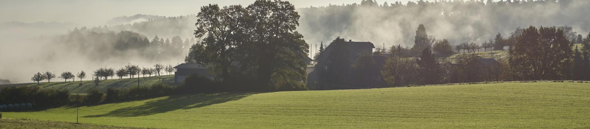 Foto Breitacher Weid
