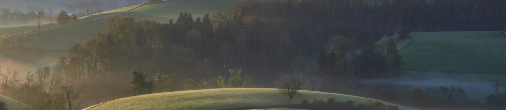Foto ab Legi ob Bützberg
