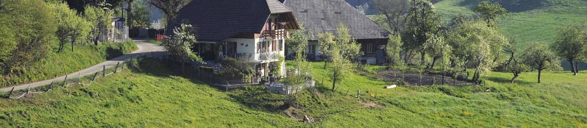 unterer Bützberg